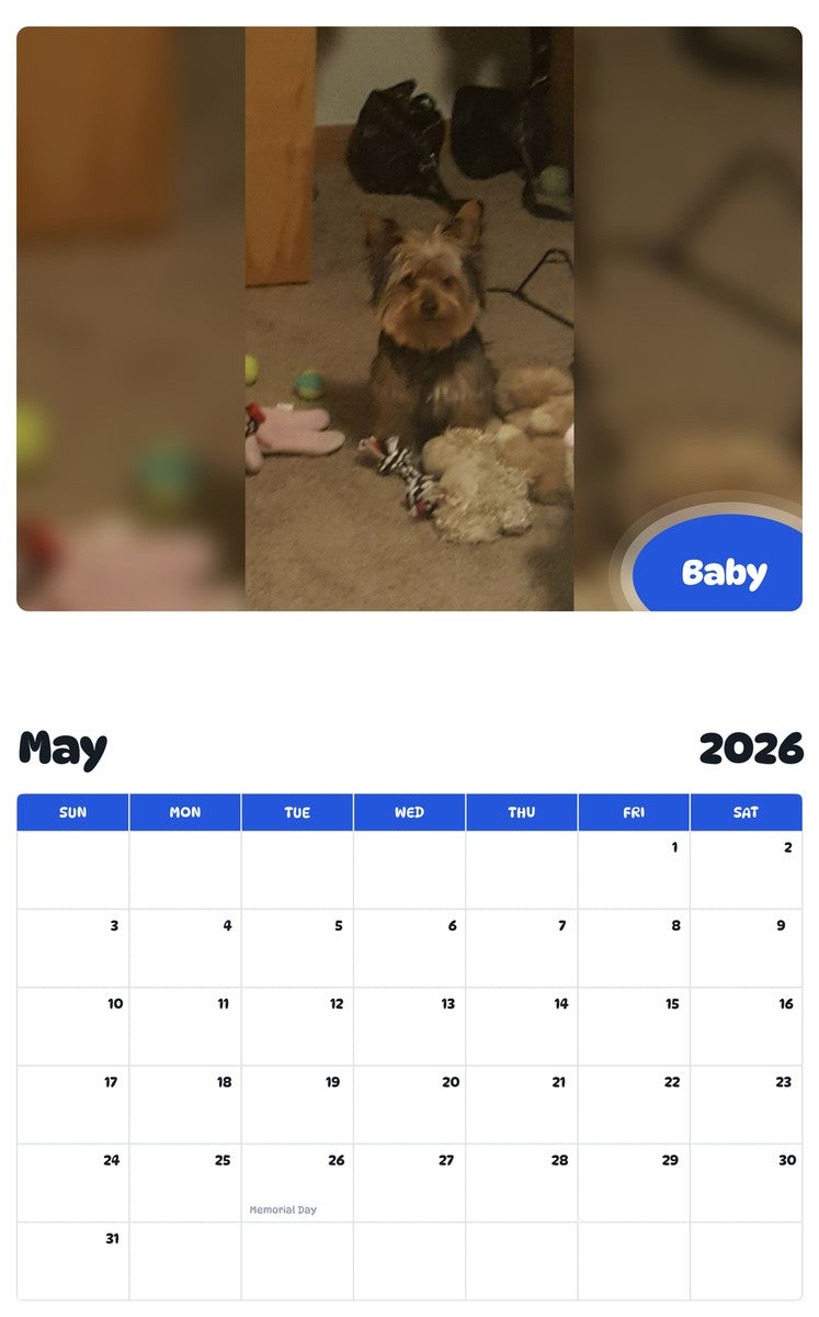 2026 - 2027 Baby - Pawidols Pet Calendar