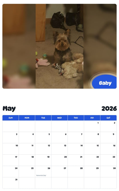 2026 - 2027 Baby - Pawidols Pet Calendar
