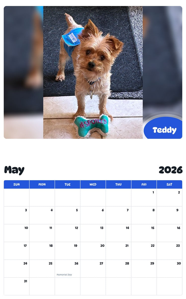 2026 - 2027 Teddy - Pawidols Pet Calendar