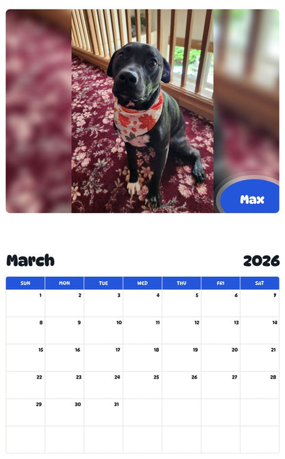 November 2025 - October 2026 Max - Pawidols Pet Calendar