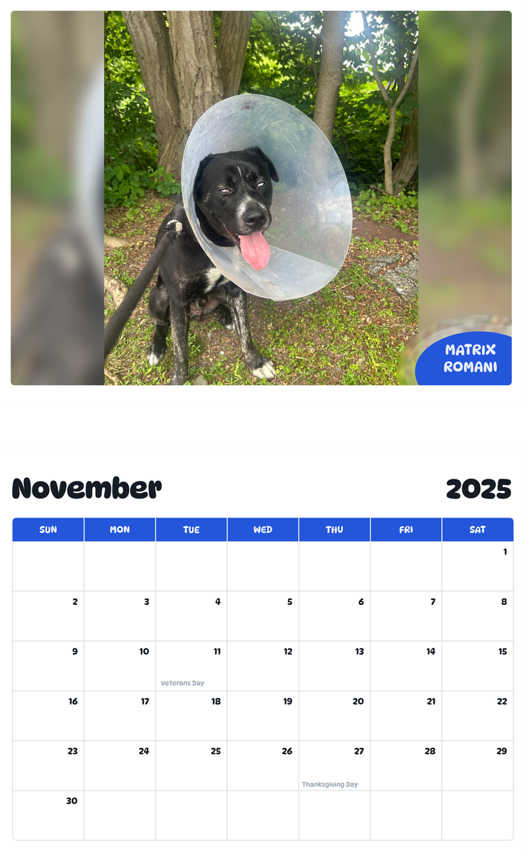 July 2025 - June 2026 Matrix Romani - Pawidols Pet Calendar