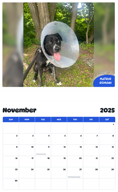 July 2025 - June 2026 Matrix Romani - Pawidols Pet Calendar