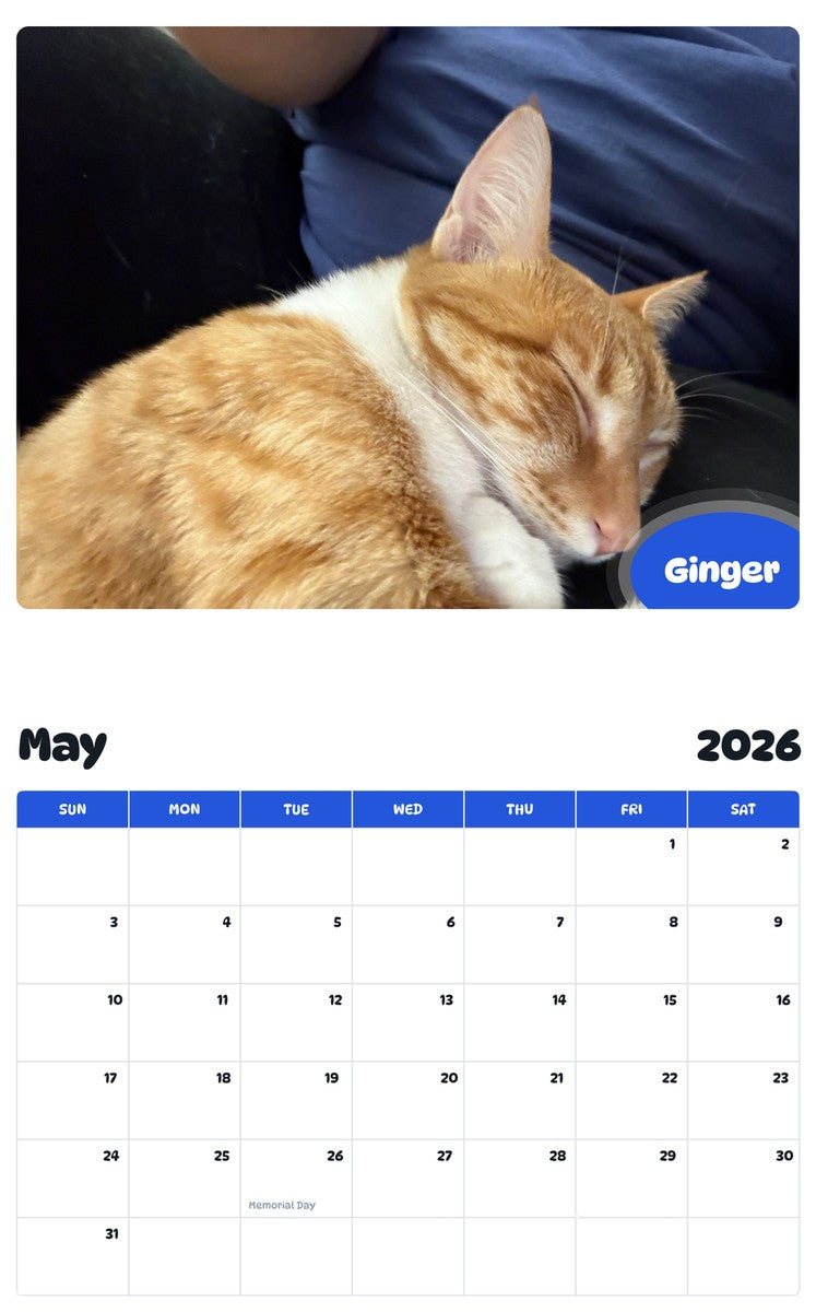 2026 - 2027 Ginger - Pawidols Pet Calendar