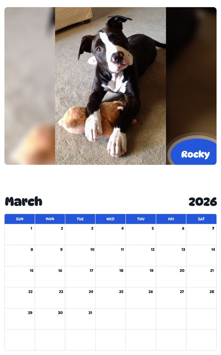 November 2025 - October 2026 Rocky - Pawidols Pet Calendar