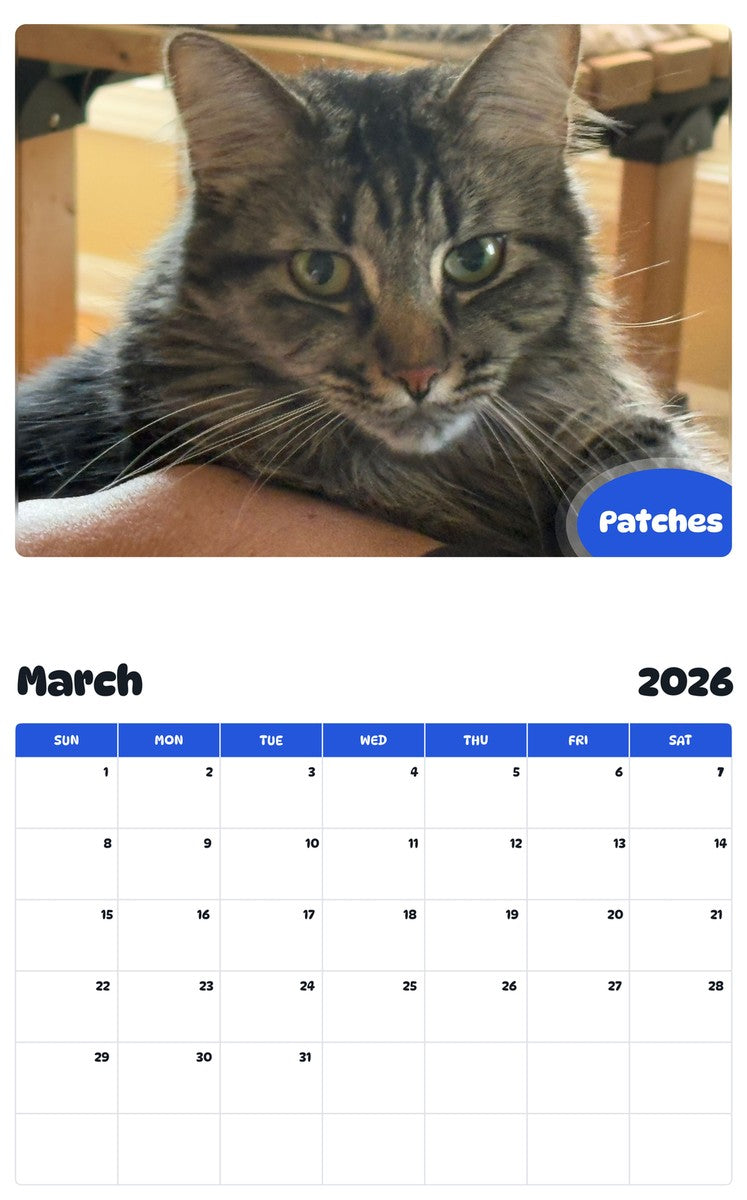 November 2025 - October 2026 Patches - Pawidols Pet Calendar