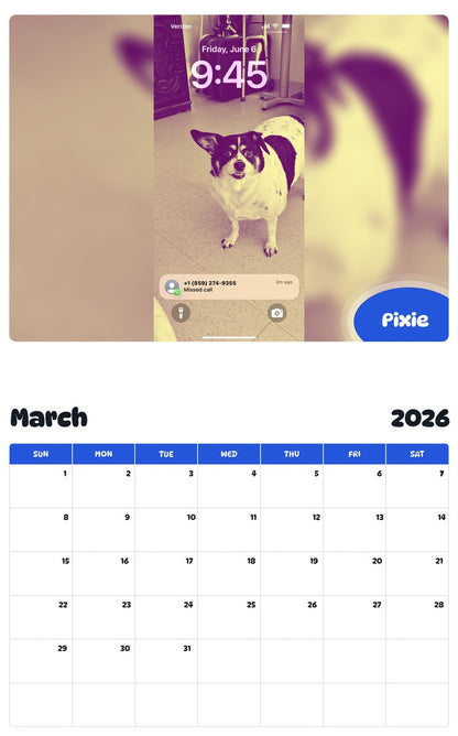 November 2025 - October 2026 Pixie - Pawidols Pet Calendar