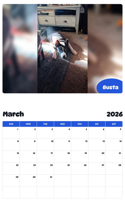 November 2025 - October 2026 Busta - Pawidols Pet Calendar