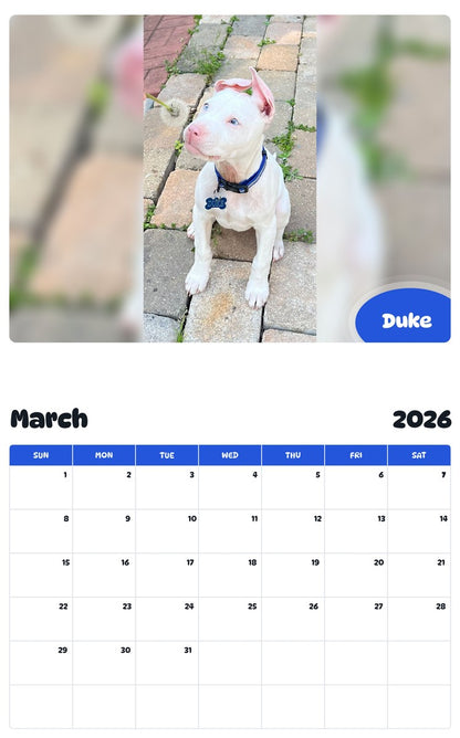 November 2025 - October 2026 Duke - Pawidols Pet Calendar