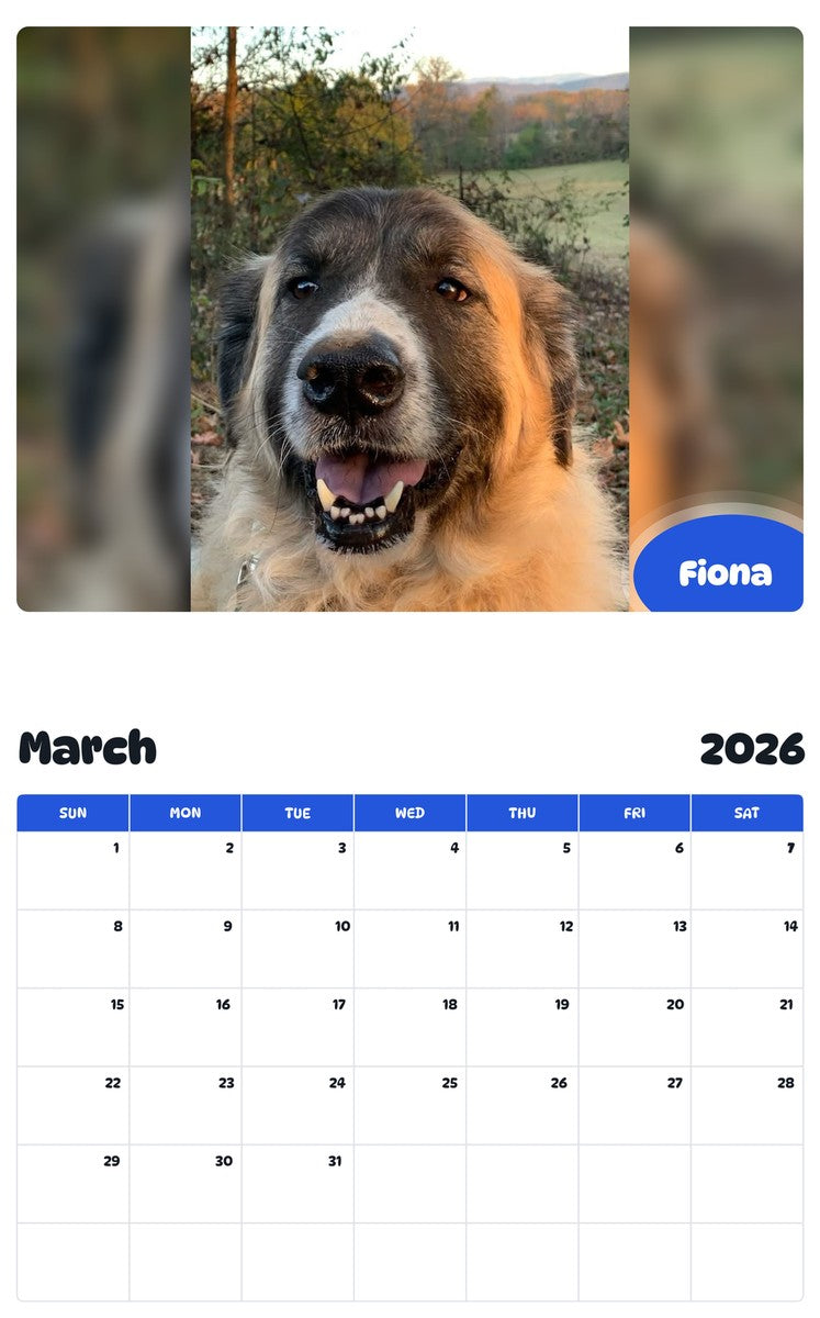 November 2025 - October 2026 Fiona - Pawidols Pet Calendar
