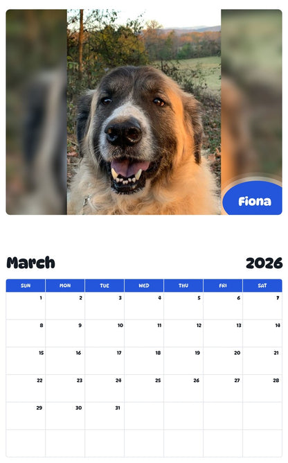 November 2025 - October 2026 Fiona - Pawidols Pet Calendar