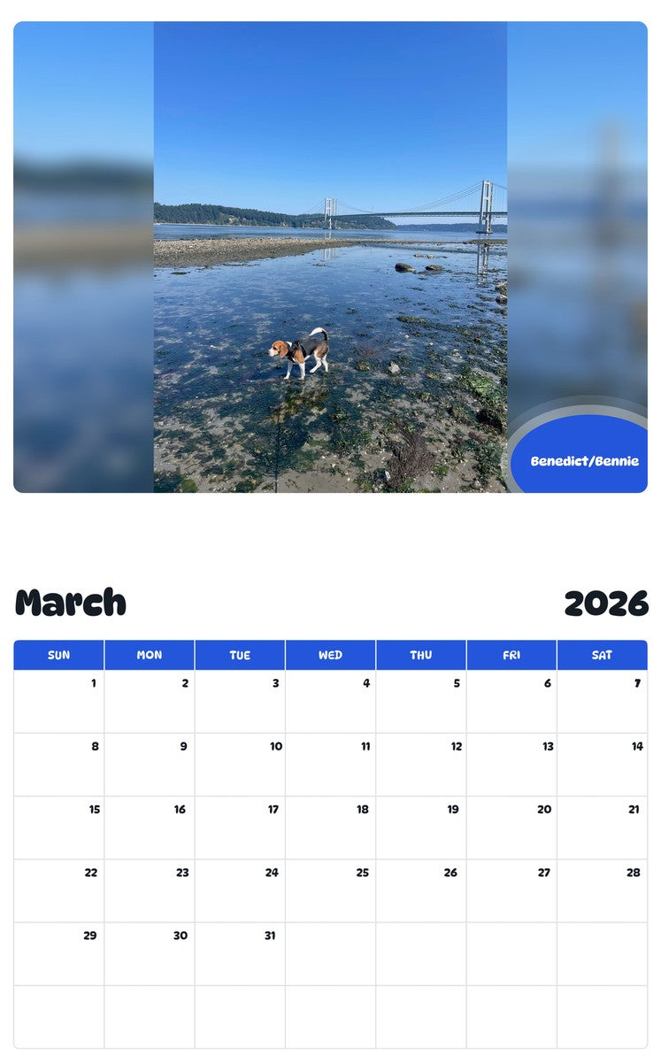 November 2025 - October 2026 Benedict/Bennie - Pawidols Pet Calendar