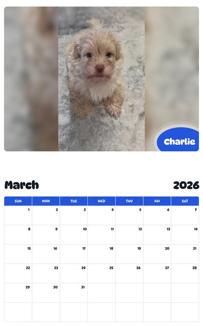 November 2025 - October 2026 Charlie - Pawidols Pet Calendar