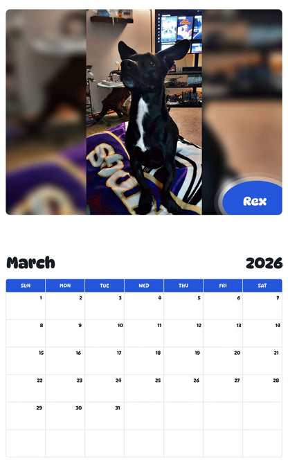 November 2025 - October 2026 Rex - Pawidols Pet Calendar
