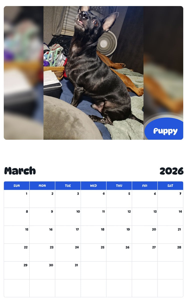 November 2025 - October 2026 Puppy - Pawidols Pet Calendar