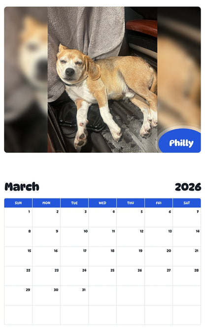November 2025 - October 2026 Philly - Pawidols Pet Calendar