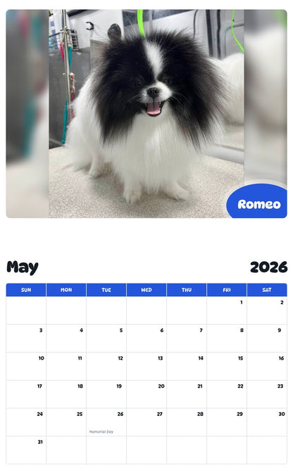 2026 - 2027 Romeo - Pawidols Pet Calendar