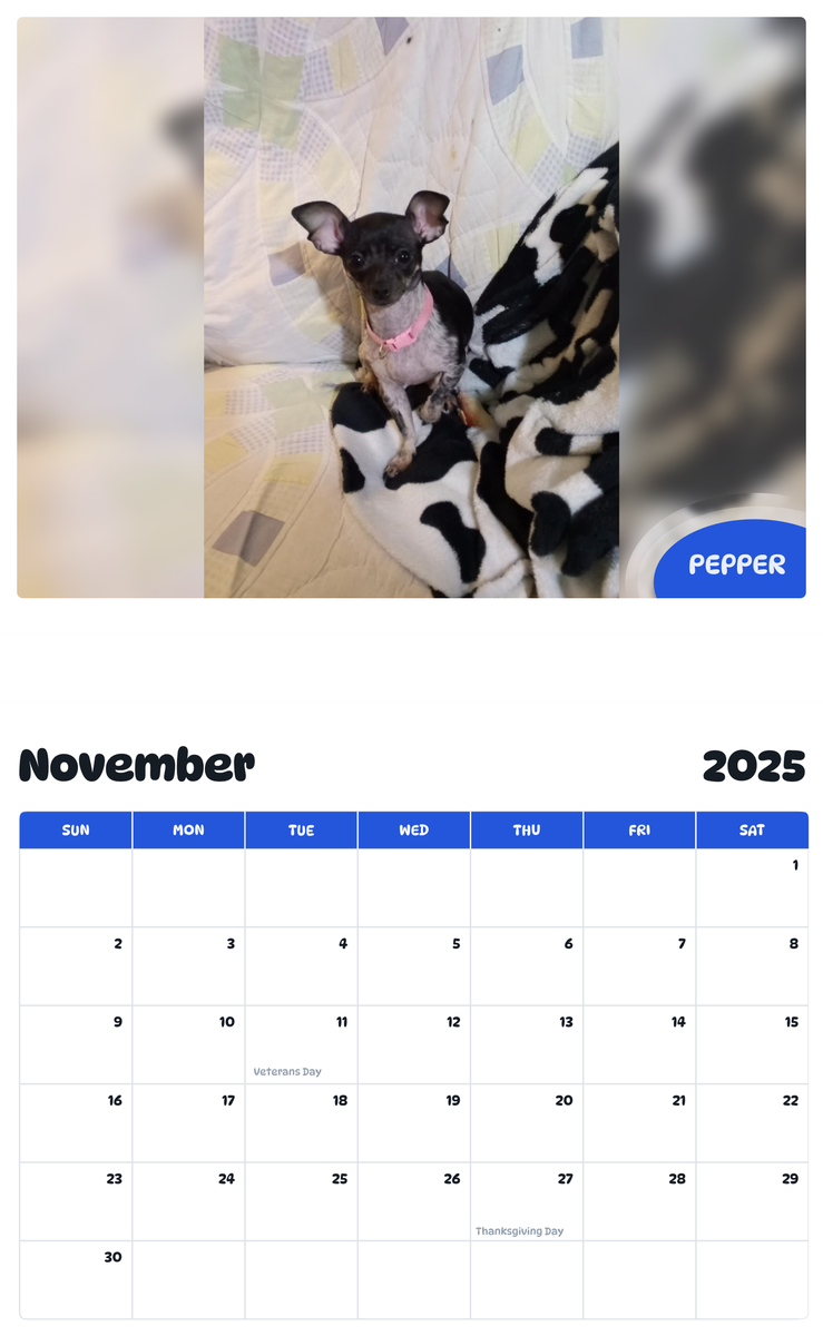July 2025 - June 2026 Pepper - Pawidols Pet Calendar
