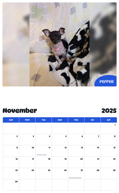 July 2025 - June 2026 Pepper - Pawidols Pet Calendar