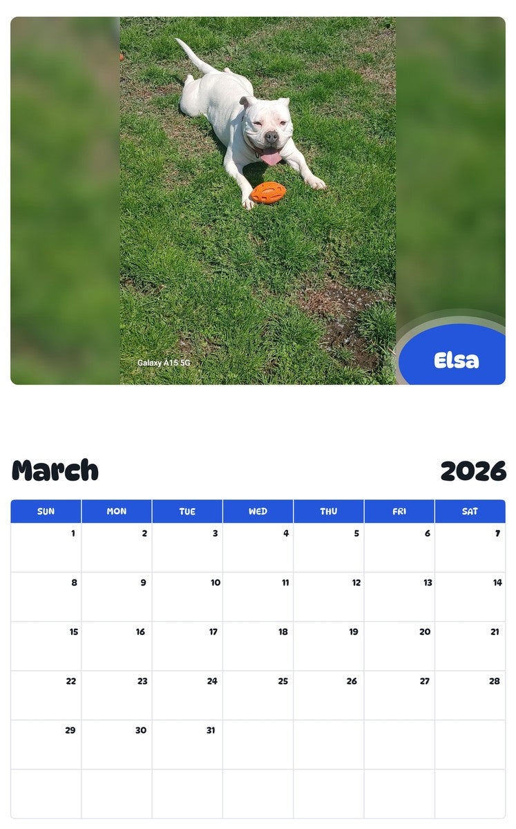November 2025 - October 2026 Elsa - Pawidols Pet Calendar