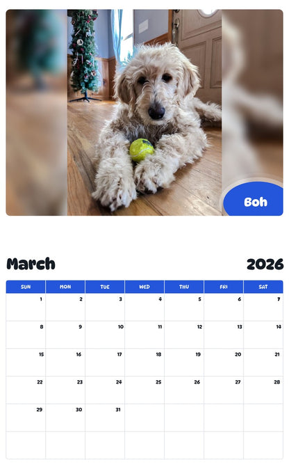 November 2025 - October 2026 Boh - Pawidols Pet Calendar