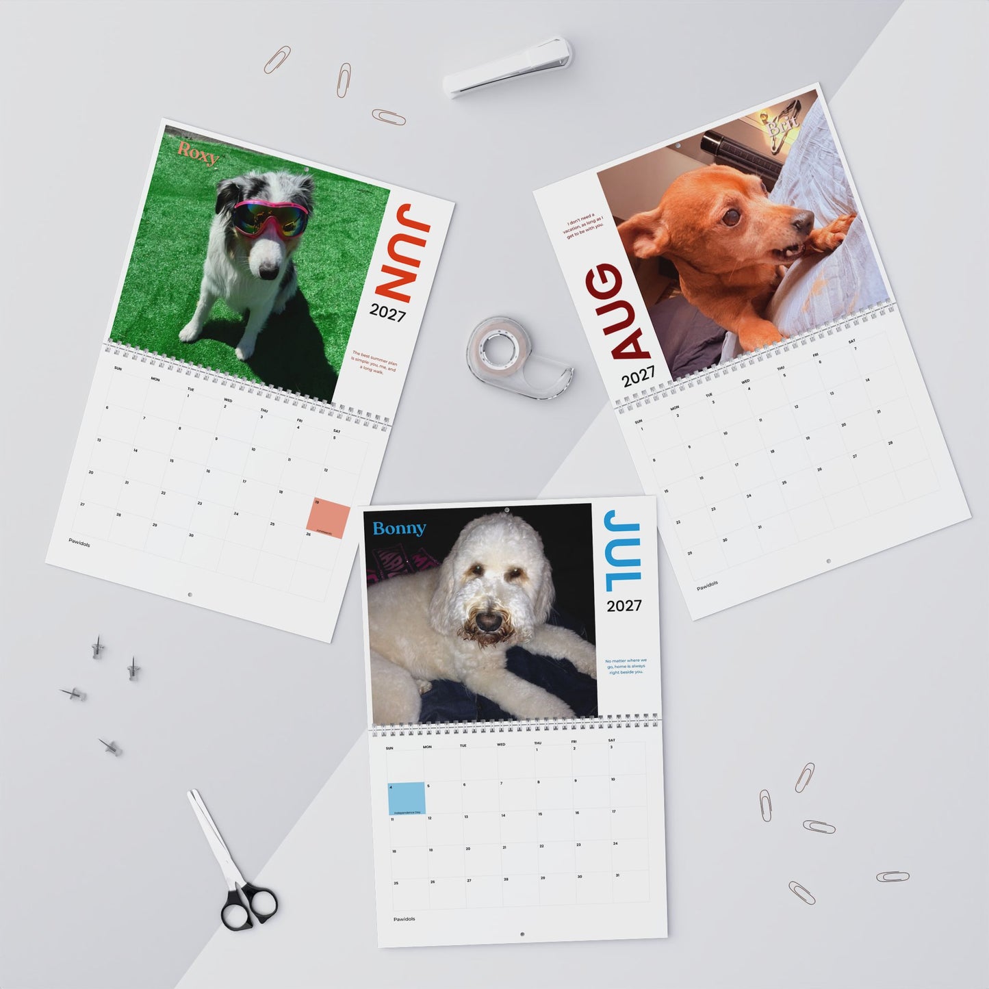 NEW Paw Calendar DOG September 2026 - August 2027