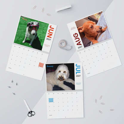 NEW Paw Calendar DOG September 2026 - August 2027