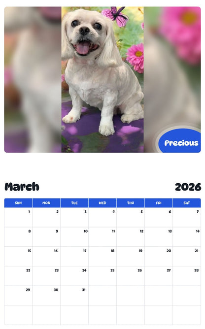 November 2025 - October 2026 Precious - Pawidols Pet Calendar