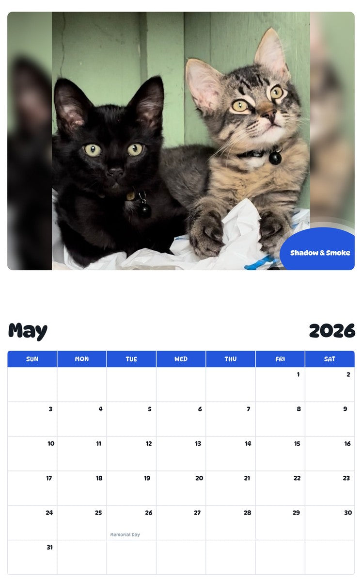 2026 - 2027 Shadow & Smoke - Pawidols Pet Calendar