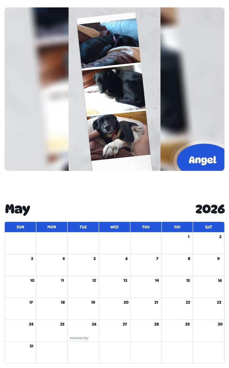 2026 - 2027 Angel - Pawidols Pet Calendar