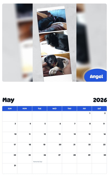 2026 - 2027 Angel - Pawidols Pet Calendar