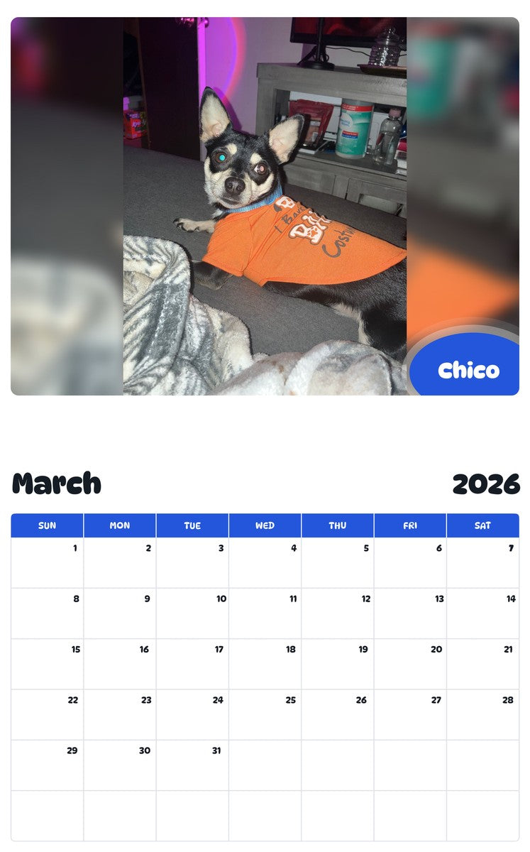 November 2025 - October 2026 Chico - Pawidols Pet Calendar