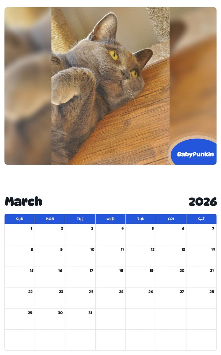 November 2025 - October 2026 BabyPunkin - Pawidols Pet Calendar