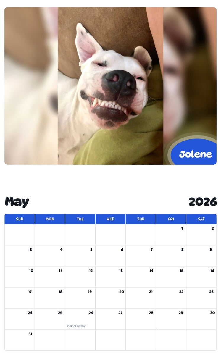 2026 - 2027 Jolene - Pawidols Pet Calendar