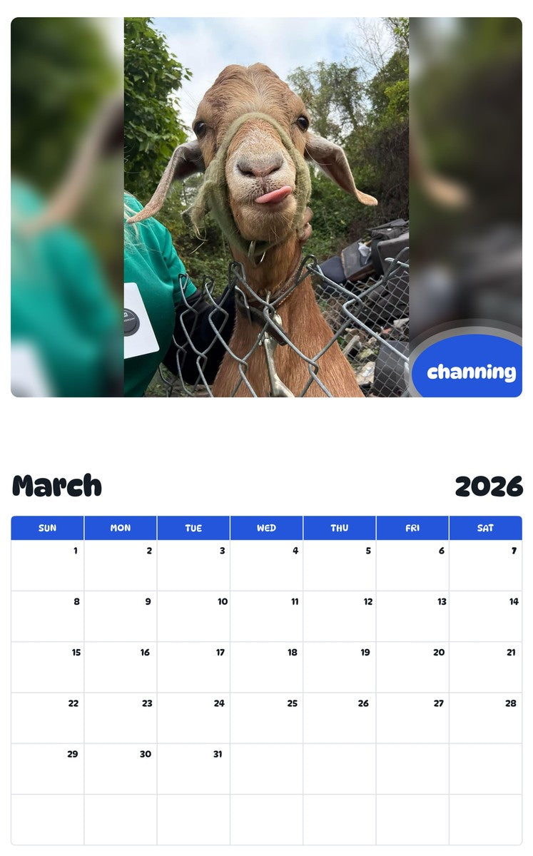 November 2025 - October 2026 channing - Pawidols Pet Calendar
