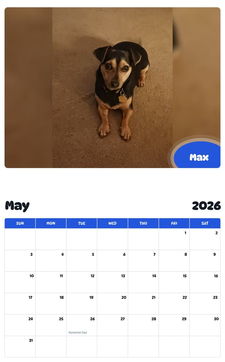 2026 - 2027 Max - Pawidols Pet Calendar