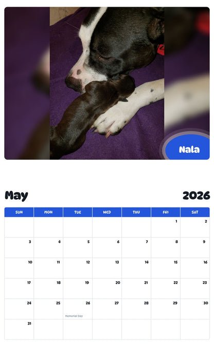 2026 - 2027 Nala - Pawidols Pet Calendar