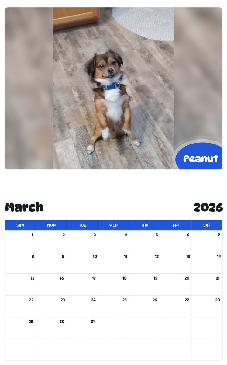 November 2025 - October 2026 Peanut - Pawidols Pet Calendar