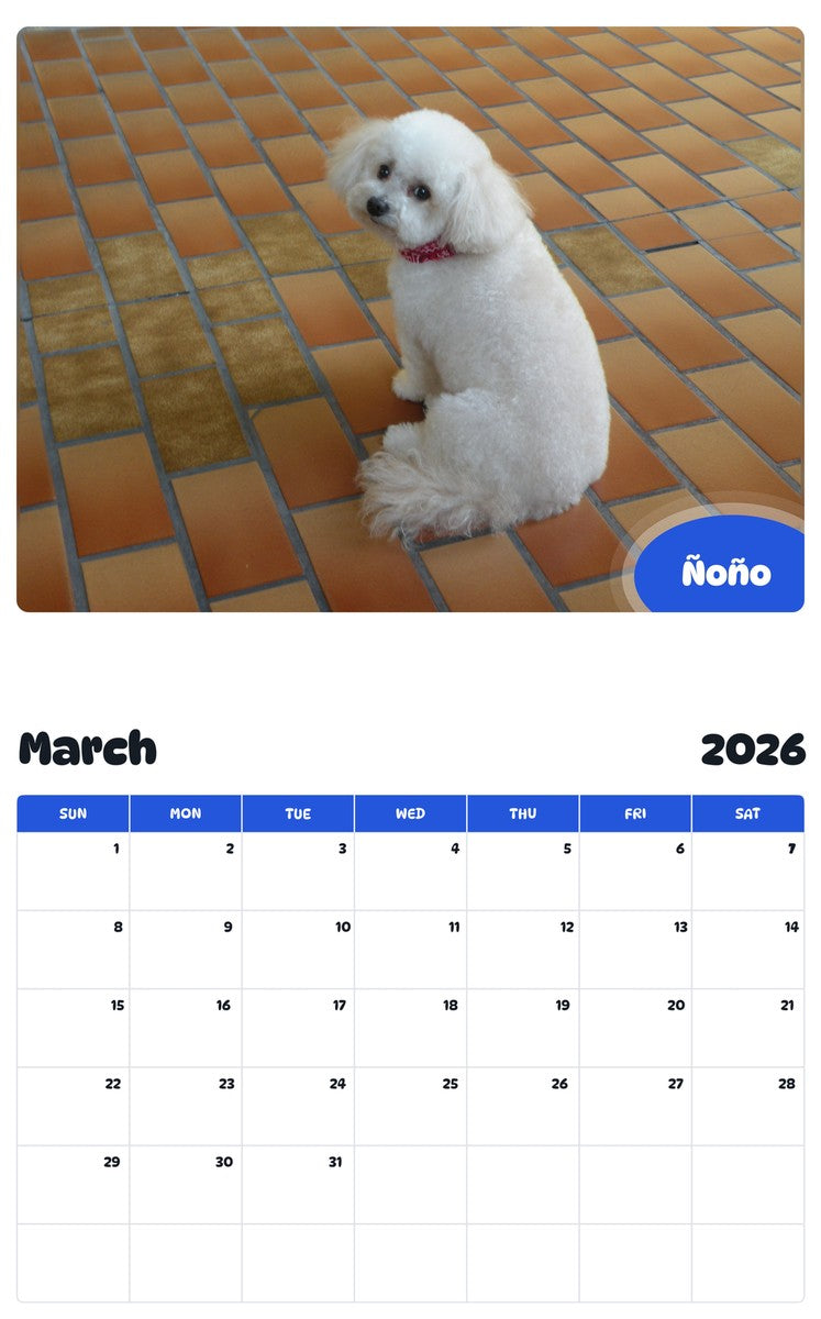 November 2025 - October 2026 Ñoño - Pawidols Pet Calendar