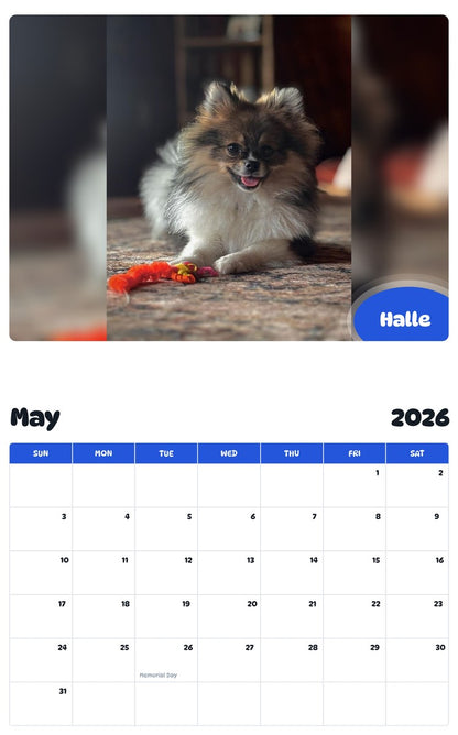2026 - 2027 Halle - Pawidols Pet Calendar