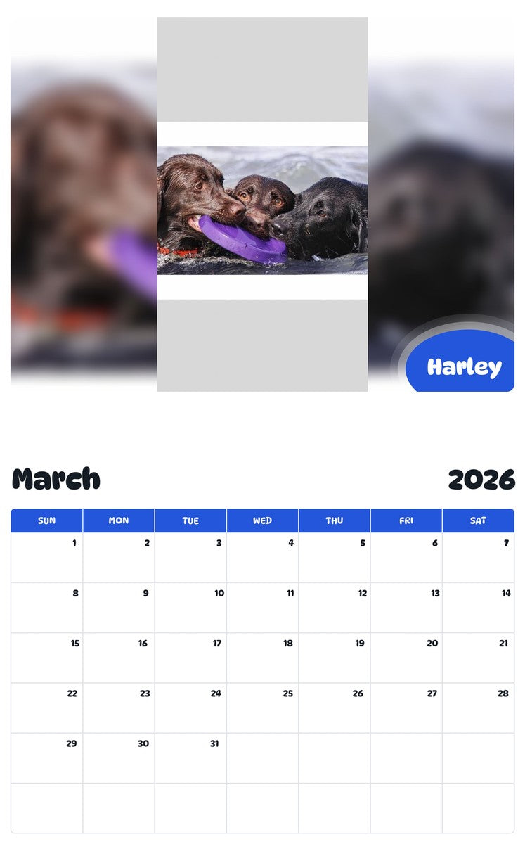 November 2025 - October 2026 Harley - Pawidols Pet Calendar