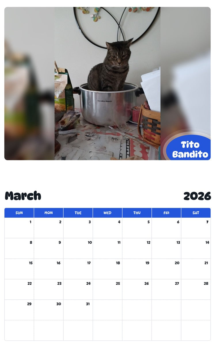 November 2025 - October 2026 Tito Bandito - Pawidols Pet Calendar