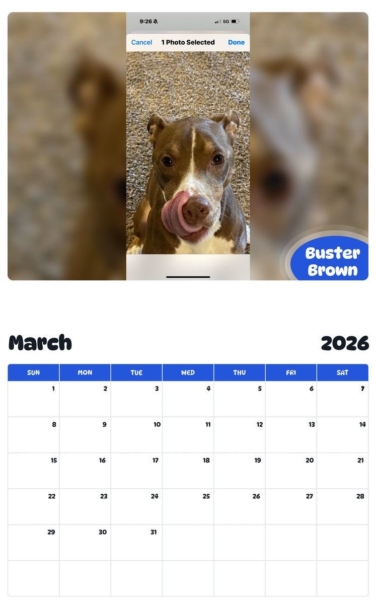 November 2025 - October 2026 Buster Brown - Pawidols Pet Calendar