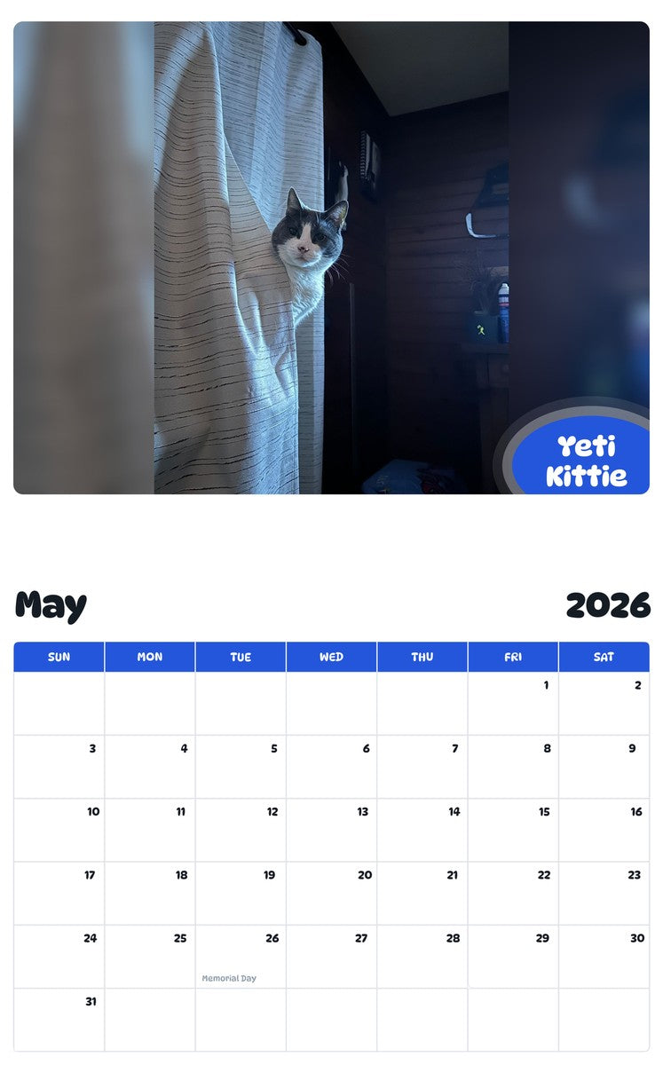2026 - 2027 Yeti Kittie - Pawidols Pet Calendar