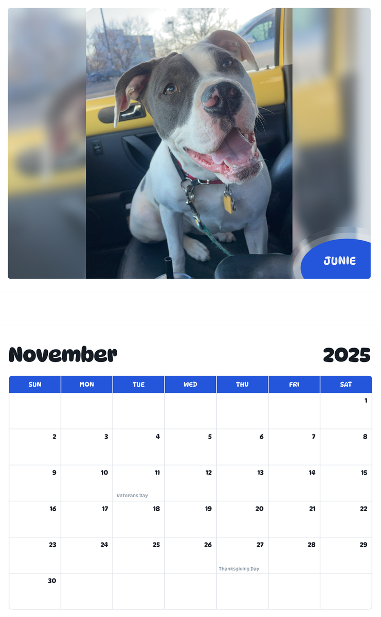 July 2025 - June 2026 Junie - Pawidols Pet Calendar
