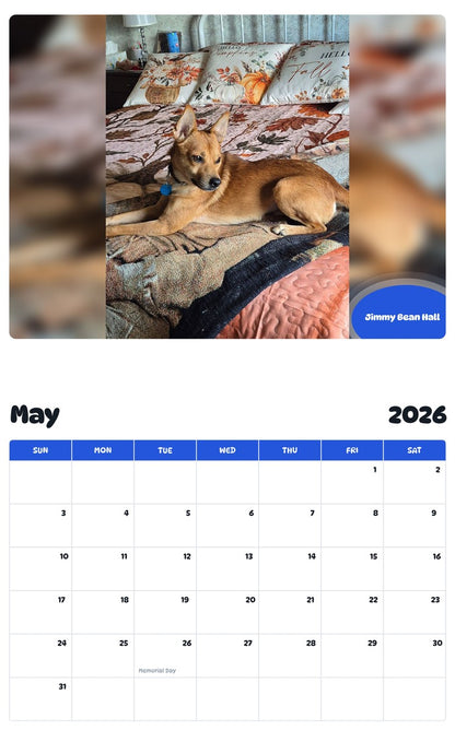 2026 - 2027 Jimmy Bean Hall - Pawidols Pet Calendar