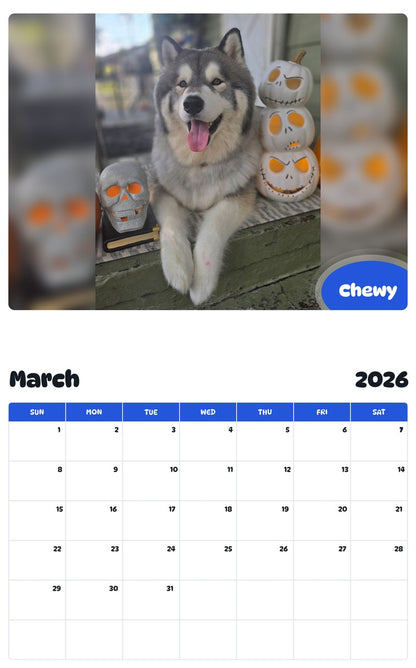November 2025 - October 2026 Chewy - Pawidols Pet Calendar