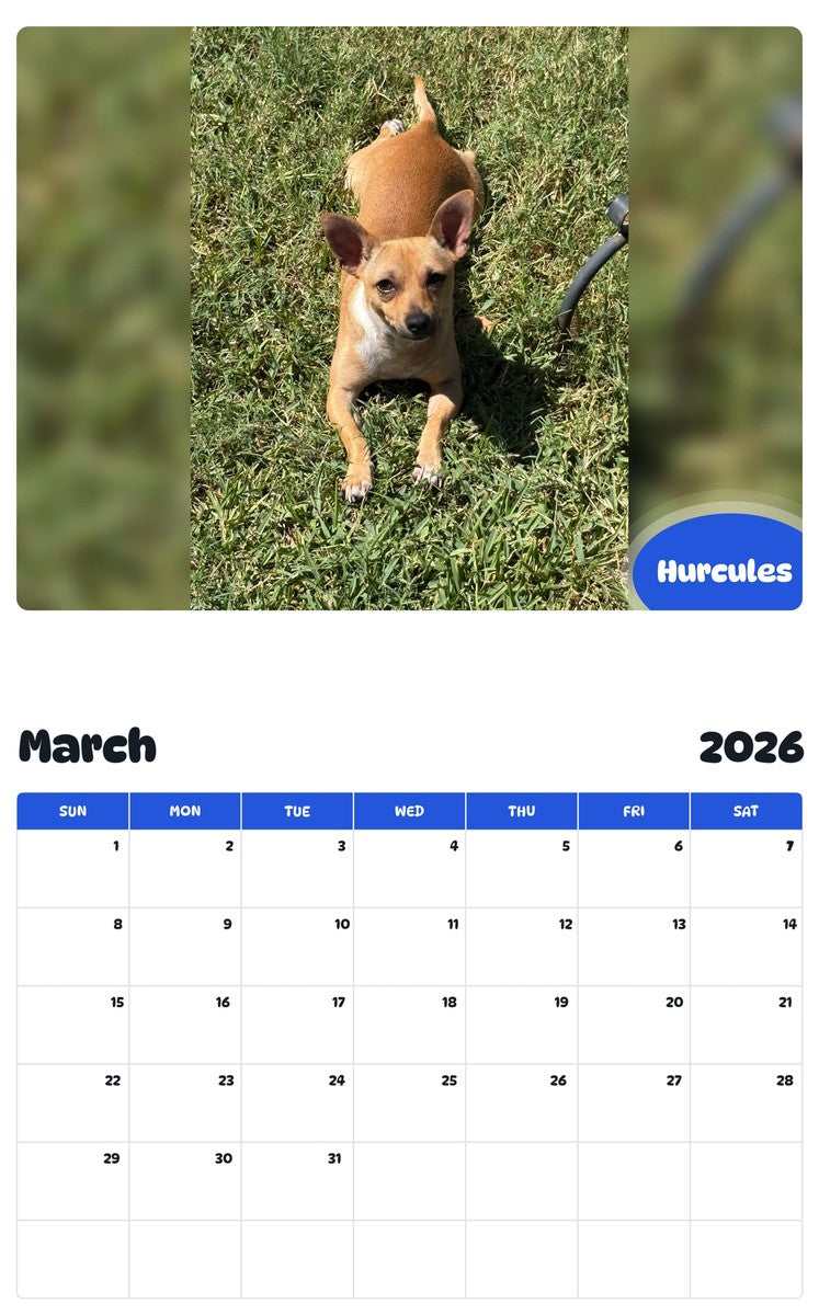 November 2025 - October 2026 Hurcules - Pawidols Pet Calendar