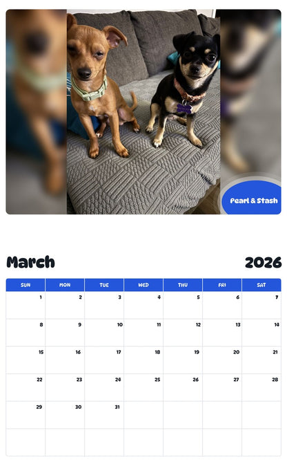 November 2025 - October 2026 Pearl & Stash - Pawidols Pet Calendar