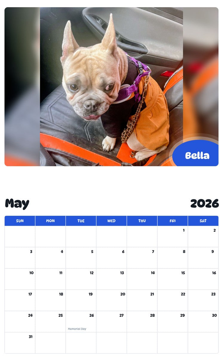 2026 - 2027 Bella - Pawidols Pet Calendar