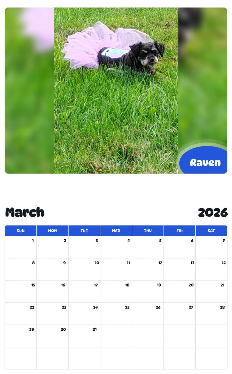 November 2025 - October 2026 Raven - Pawidols Pet Calendar